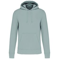 Sweat-shirt &agrave; capuche K4027 SNOW GREY