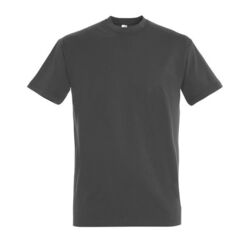 T-Shirt Homme Imperial Coutances