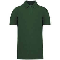 Polo Bio 180 K2025 Coutances