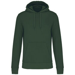 Sweat-shirt &agrave; capuche K4027 Coutances