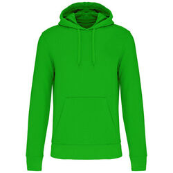 Sweat-shirt &agrave; capuche K4027 Coutances