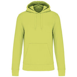 Sweat-shirt &agrave; capuche K4027 Coutances