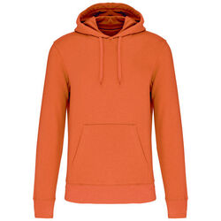 Sweat-shirt &agrave; capuche K4027 Coutances