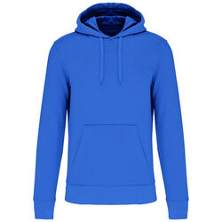 Sweat-shirt &agrave; capuche K4027 Coutances
