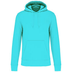 Sweat-shirt &agrave; capuche K4027 Coutances