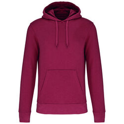 Sweat-shirt &agrave; capuche K4027 Coutances