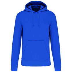Sweat-shirt &agrave; capuche K4027 Coutances