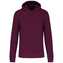 Sweat-shirt &agrave; capuche K4027 Coutances