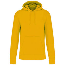 Sweat-shirt &agrave; capuche K4027 Coutances