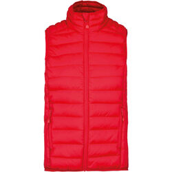 Bodywarmer Homme Doudoune L&eacute;g&egrave;re Coutances