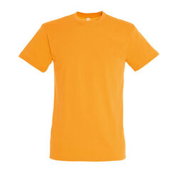 T-SHIRT MC H REGENT Coutances