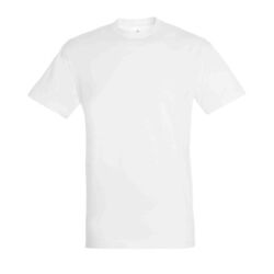 T-SHIRT MC TITAN Coutances